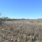 Property photo for land for sale in Archer County Texas