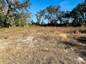 Property photo for land for sale in Levy County Florida