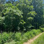 Property photo for land for sale in Mayes County Oklahoma