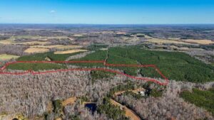 Property photo for land for sale in Charlotte County Virginia