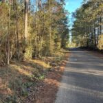 Property photo for land for sale in Pike County Mississippi