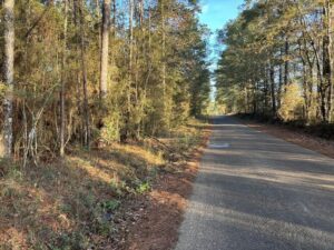 Property photo for land for sale in Pike County Mississippi