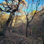 Property photo for land for sale in Le Flore County Oklahoma