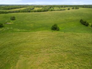 Property photo for land for sale in Ozark County Missouri