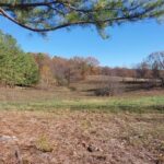 Property photo for land for sale in Mayes County Oklahoma