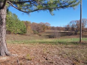 Property photo for land for sale in Mayes County Oklahoma