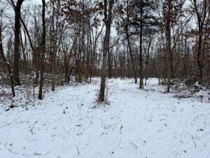 Property photo for land for sale in Van Buren County Iowa