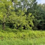 Property photo for land for sale in Hamilton County Florida