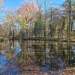 Property photo for land for sale in Scott County Arkansas