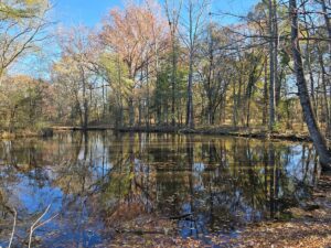 Property photo for land for sale in Scott County Arkansas