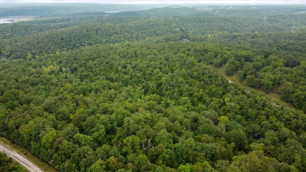 Property photo for land for sale in Ozark County Missouri