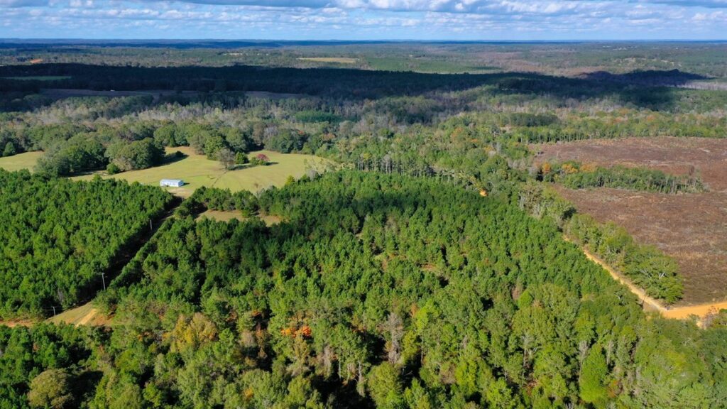 Property photo for land for sale in Crenshaw County Alabama