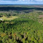 Property photo for land for sale in Crenshaw County Alabama