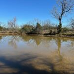 Property photo for land for sale in Brown County Texas