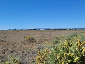 Property photo for land for sale in Torrance County New Mexico