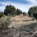 Property photo for land for sale in Yavapai County Arizona