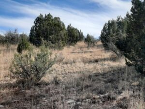 Property photo for land for sale in Yavapai County Arizona