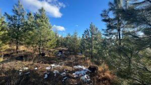 Property photo for land for sale in Clearwater County Idaho