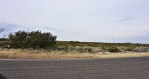 Property photo for land for sale in Pecos County Texas