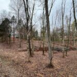 Property photo for land for sale in Allen County Kentucky