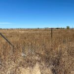 Property photo for land for sale in Torrance County New Mexico