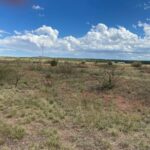 Property photo for land for sale in Guadalupe County New Mexico