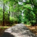 Property photo for land for sale in Franklin County Mississippi