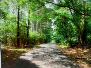 Property photo for land for sale in Franklin County Mississippi