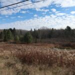 Property photo for land for sale in Chenango County New York