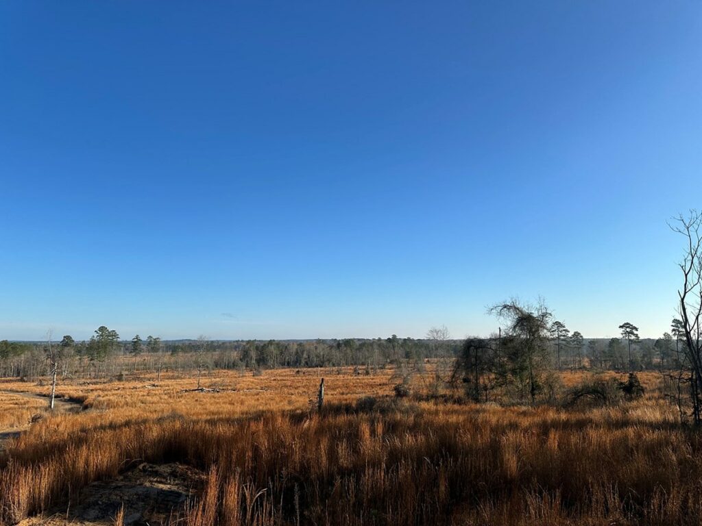 Property photo for land for sale in Union County Louisiana