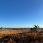 Property photo for land for sale in Union County Louisiana