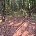 Property photo for land for sale in Scott County Arkansas