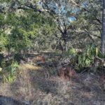 Property photo for land for sale in Dixie County Florida