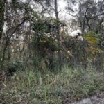 Property photo for land for sale in Gilchrist County Florida