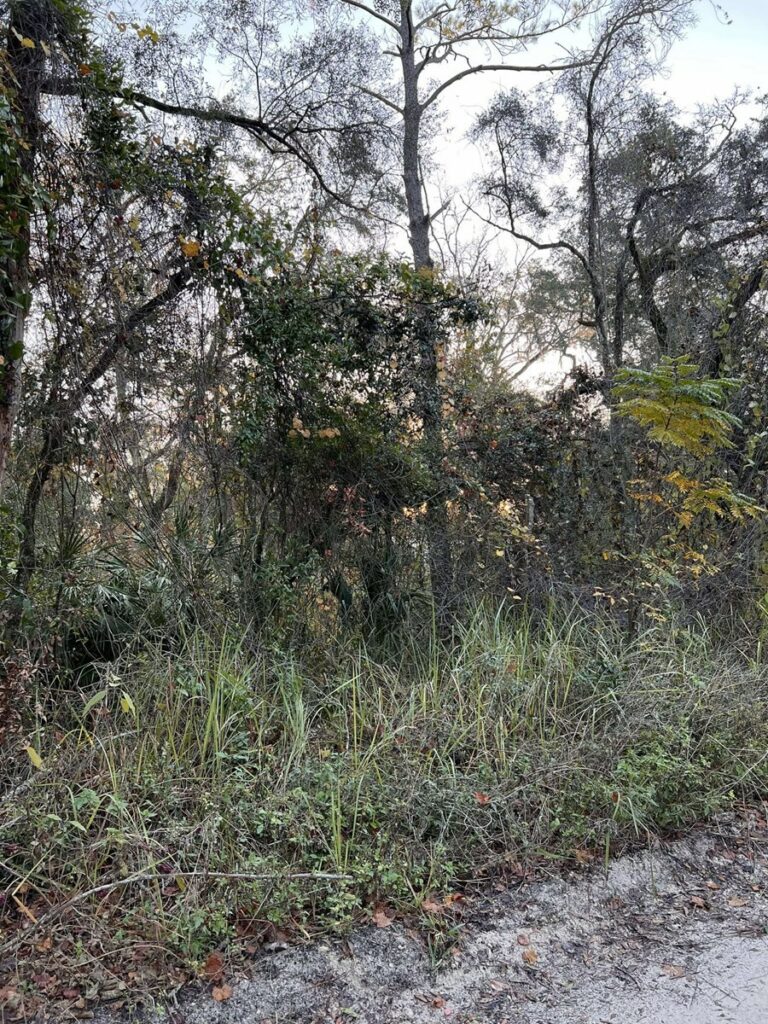 Property photo for land for sale in Gilchrist County Florida