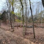 Property photo for land for sale in Allen County Kentucky