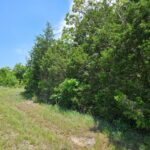 Property photo for land for sale in Ozark County Missouri