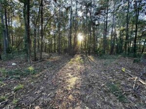 Property photo for land for sale in Upshur County Texas