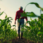 Where to apply for a farm loan