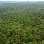 Property photo for land for sale in Ozark County Missouri