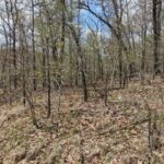 Property photo for land for sale in Howell County Missouri