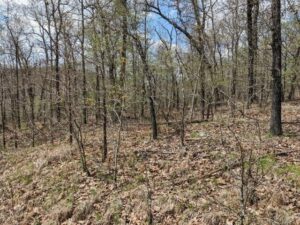 Property photo for land for sale in Howell County Missouri