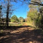 Property photo for land for sale in Cass County Texas