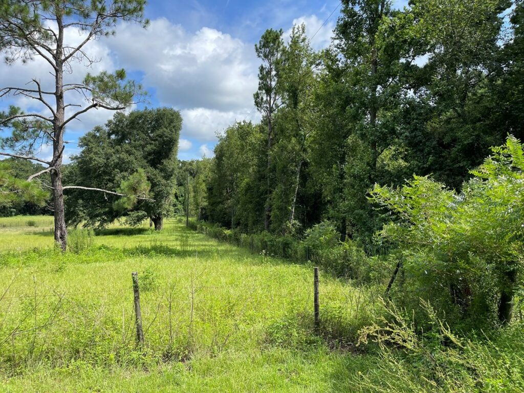 Property photo for land for sale in Columbia County Florida