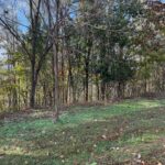 Property photo for land for sale in DeKalb County Tennessee