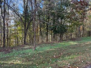 Property photo for land for sale in DeKalb County Tennessee