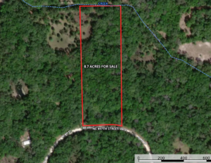 Property photo for land for sale in Dixie County Florida