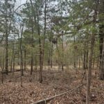 Property photo for land for sale in Ozark County Missouri