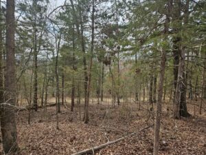 Property photo for land for sale in Ozark County Missouri