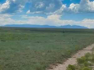 Property photo for land for sale in Torrance County New Mexico